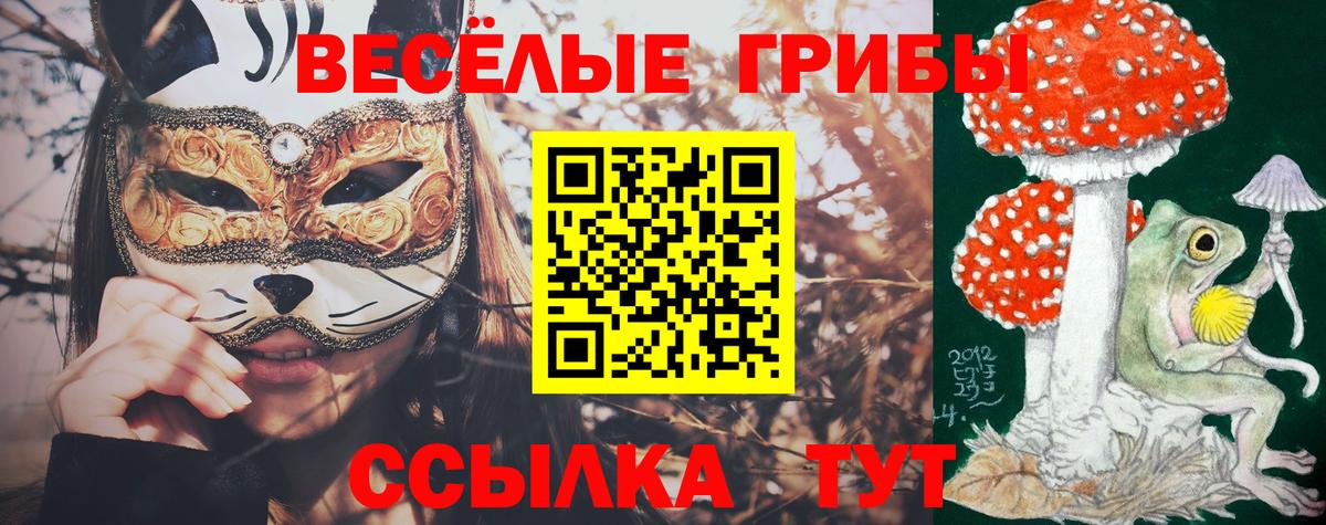 Псилоцибиновые грибы Magic Shrooms  Вход с VPN  Галлюциногенные грибы прущие грибы  Белебей 